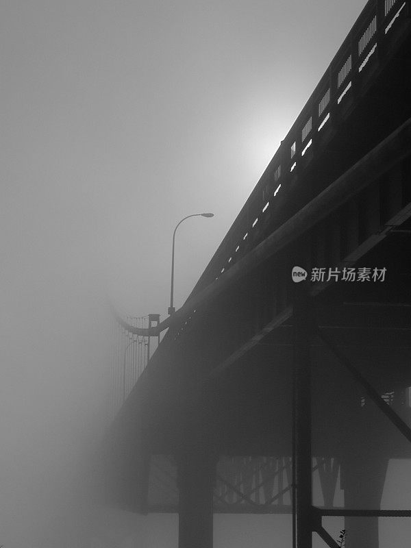 雾中的塔科马窄桥