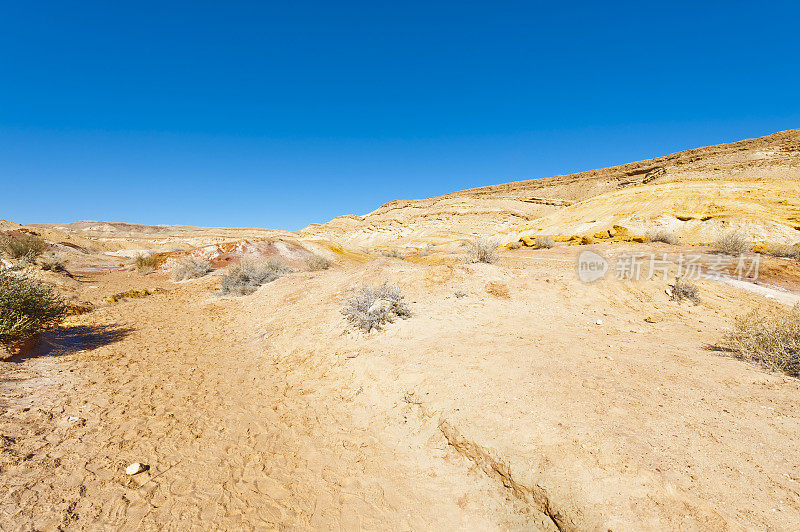 以色列的沙漠景观