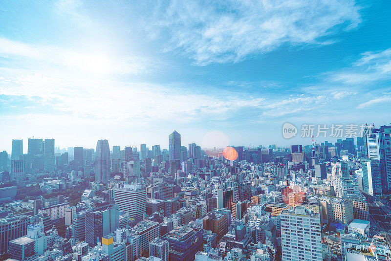 东京是日本的首都，是大东京地区的中心，也是世界上人口最多的大都市区。