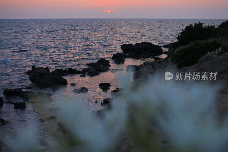 花海滩日落