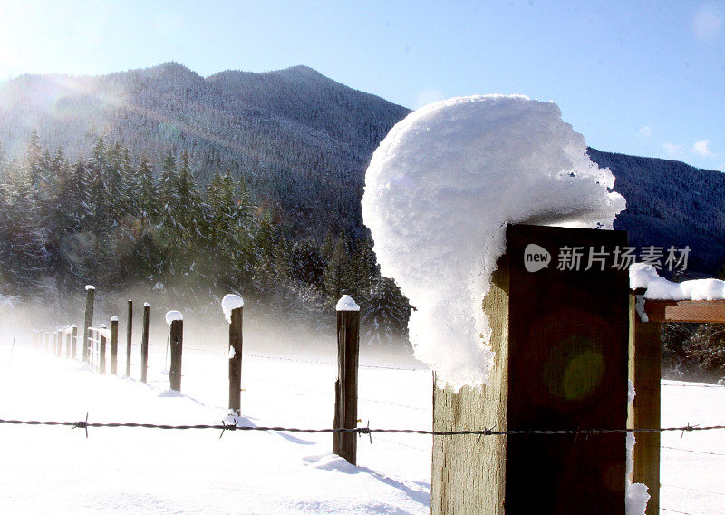 栅栏柱上融化的冬雪