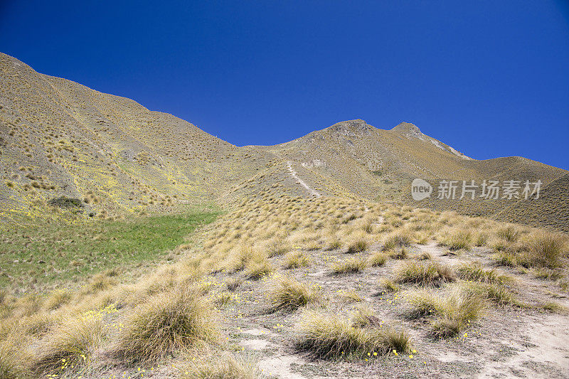 新西兰林迪斯山口的步道