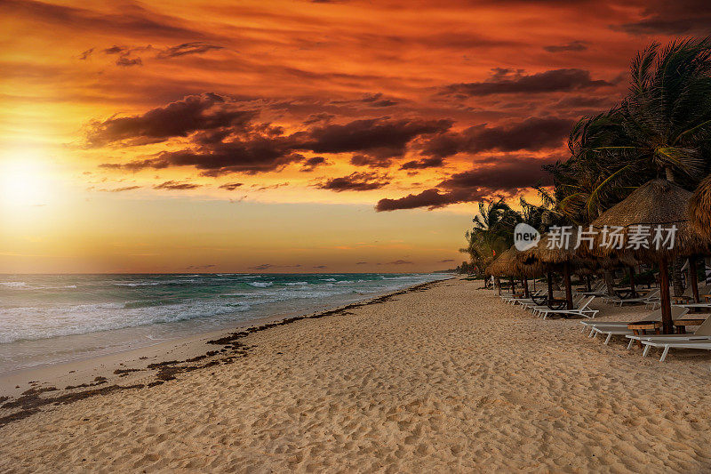 图卢姆里维埃拉玛雅海滩上的金色夕阳