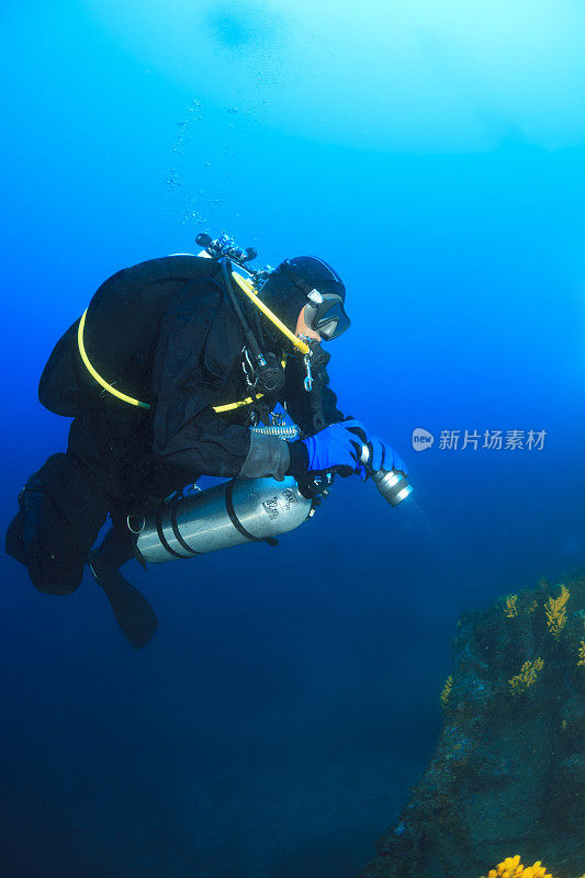 潜水技术潜水员探索和享受沉船潜水海上生命潜水夫妇水上运动技术潜水水肺潜水员的观点