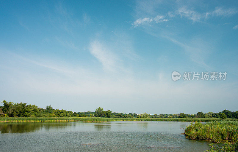 加拿大安大略湖沼泽的全景