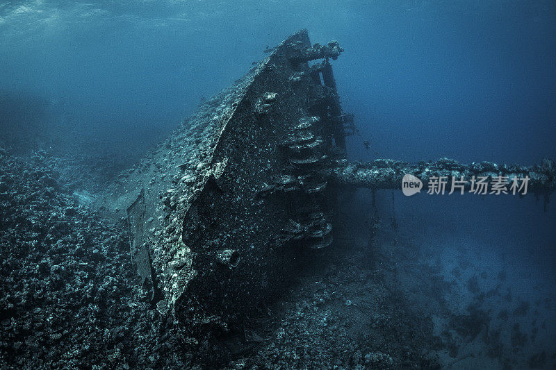 水下照片的一个大型生锈的沉船完全长满了珊瑚和海洋生物在红海