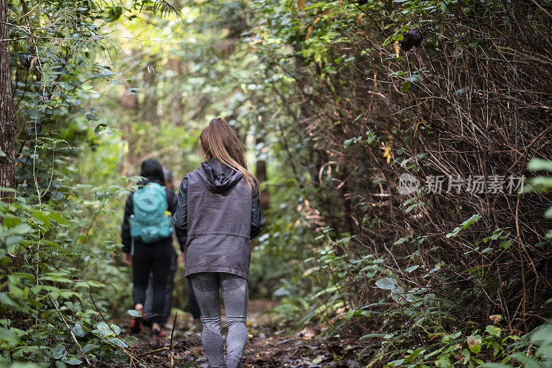 徒步穿越加拿大不列颠哥伦比亚省西海岸森林的年轻女子