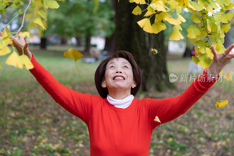 老年妇女享受秋天