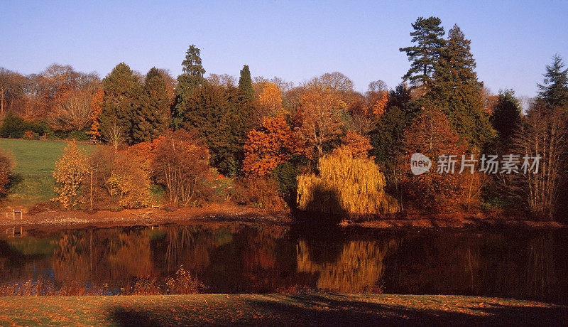 步道秋湖水河风景秋景金景拍摄