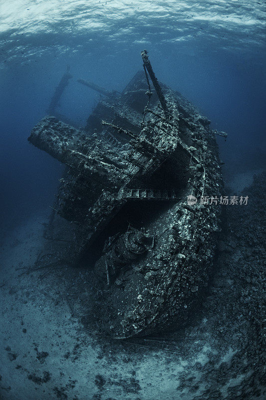 在红海的海底，一艘锈迹斑斑的沉船被珊瑚和海洋生物完全覆盖