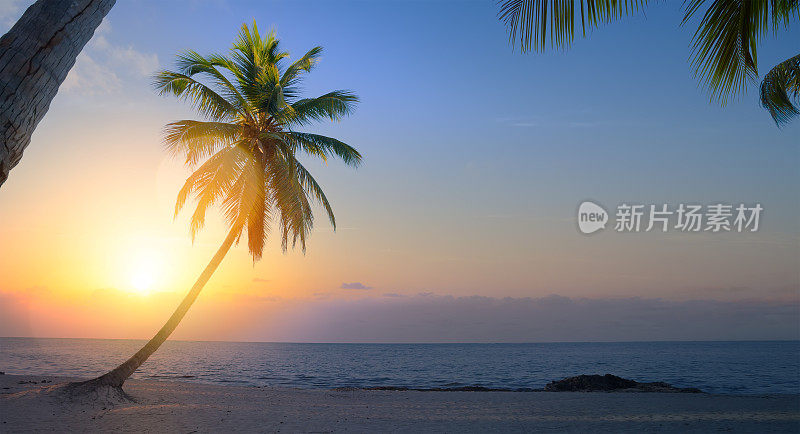 热带海滩上美丽的日出