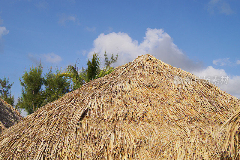 热带岛屿上的草屋，假期，旅游目的地