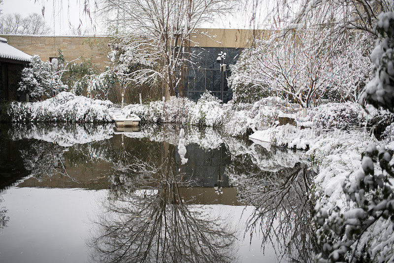 白雪覆盖的花园，映在池塘的水面上