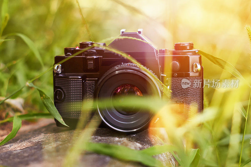 复古单镜头反射专业胶片相机户外草地