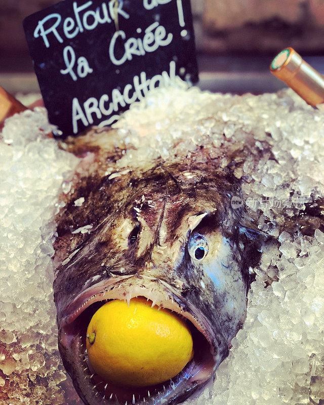 鲜鱼加柠檬冰出售在阿卡松，法国
