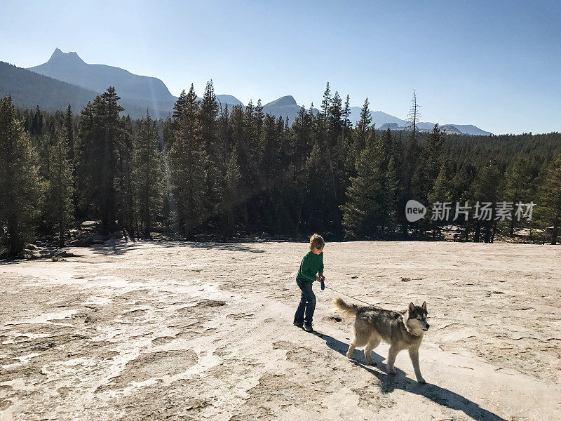 孩子们带着他的狗在优胜美地国家公园徒步旅行和爬山