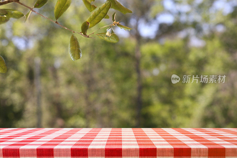 散焦的夏季公园景象与空的野餐桌。