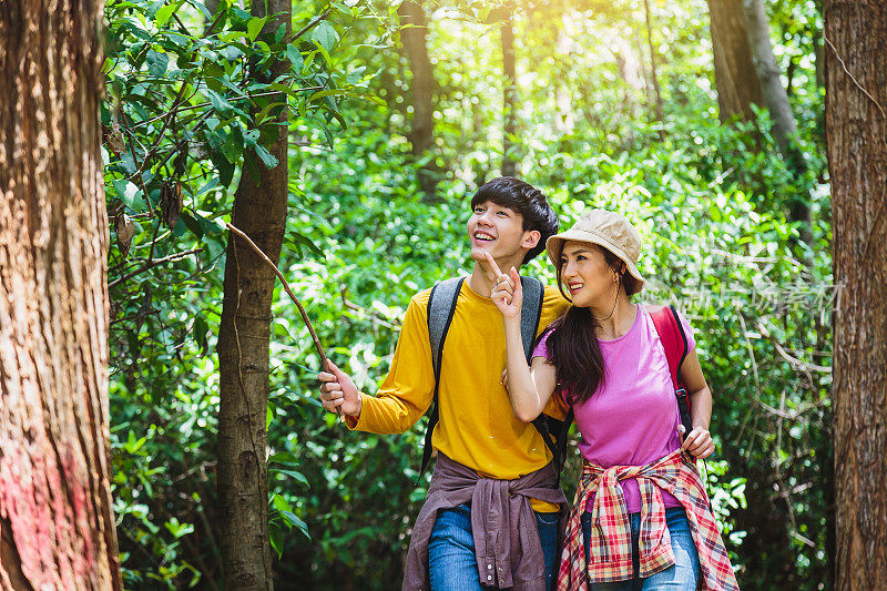 年轻的亚洲徒步旅行者夫妇喜欢在森林里散步