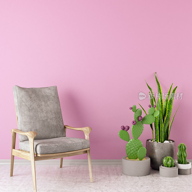 有粉红色墙和植物的扶手椅