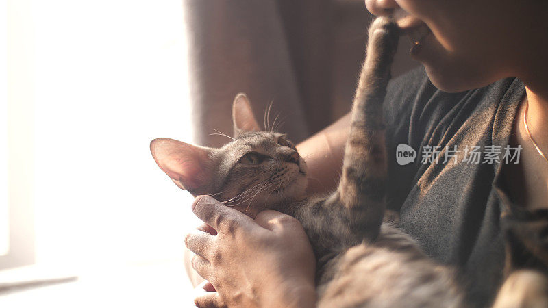 年轻女子拥抱小猫。