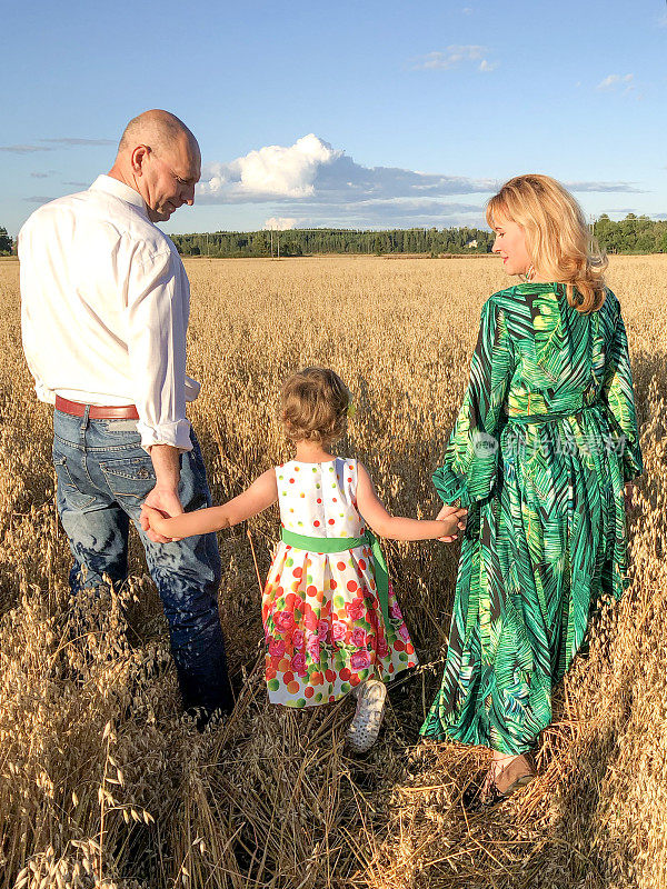 一个白人家庭有一个孩子，一个五岁的女孩。爸爸和妈妈牵着宝宝的手。后视图。以一片燕麦为背景。
