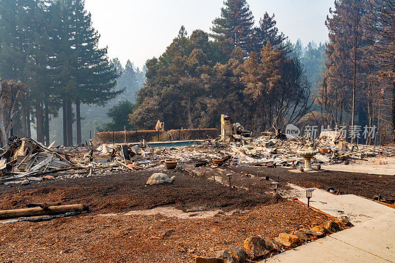 加州被烧毁的房屋
