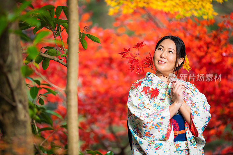 穿着白色和服的女人和秋天枫叶的画像