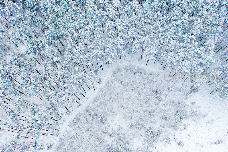 铁路被积雪覆盖的森林所包围的鸟瞰图。