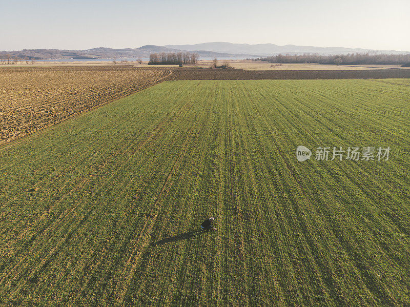 一个成年的农民在他的农场里在早春的时候耕种田地。鸟瞰图。