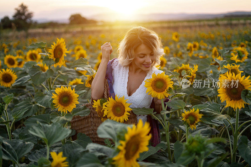 在向日葵地里享受夏日时光