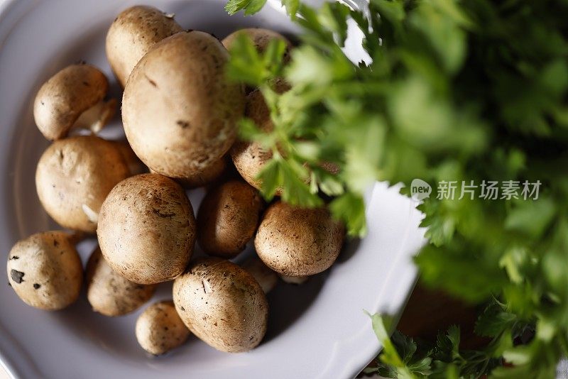 紫丁香陶瓷盘子里的棕色栗蘑和欧芹，特写