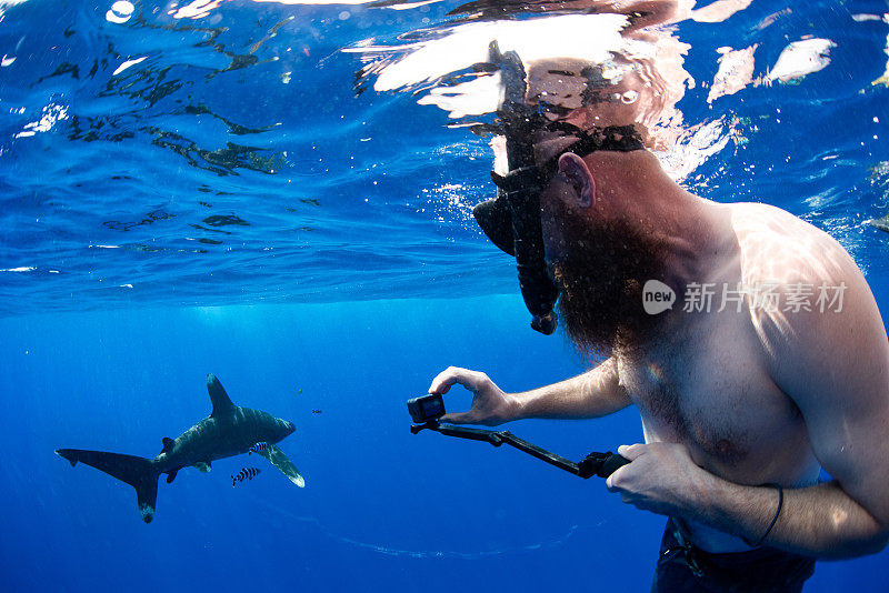 父子俩和鲨鱼一起在夏威夷的深水里游泳。