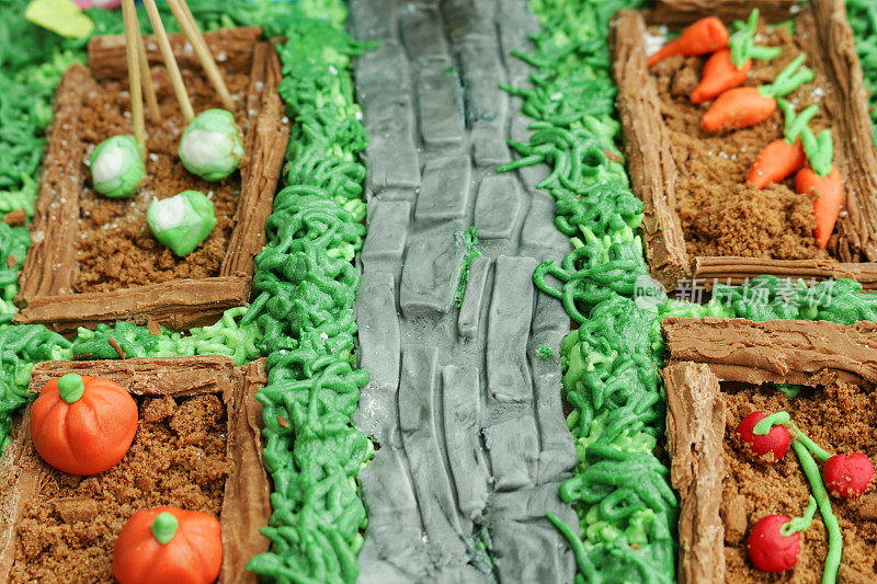 自制蛋糕设计为小屋和花园的完整框架图像，方糖糖霜路径细节，巧克力片种植的饼干屑土壤，方糖糖霜南瓜，西红柿，花椰菜和胡萝卜细节，高架视图