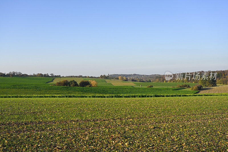 德国，Baden-Württemberg，秋景。