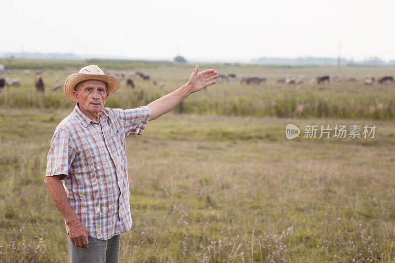 年迈的农民用手指路