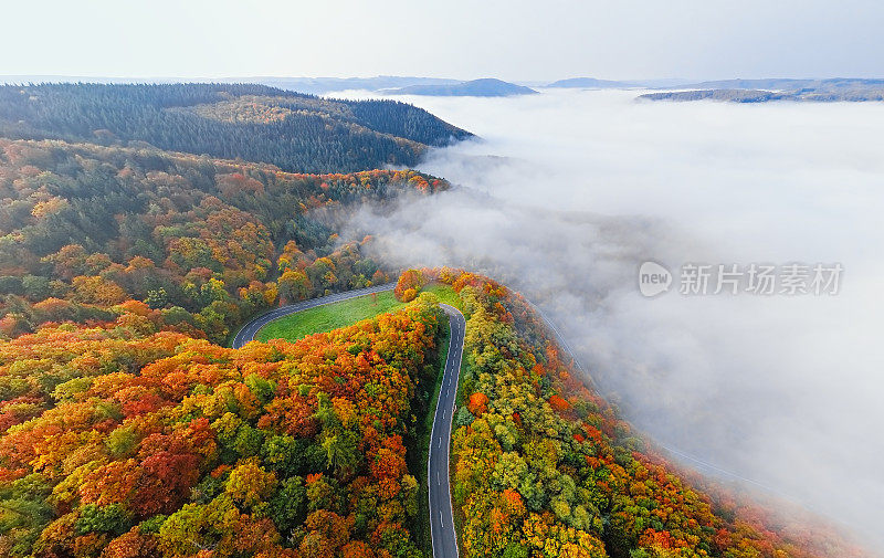 鸟瞰图秋林路在晨雾中。Mosele山谷,德国。