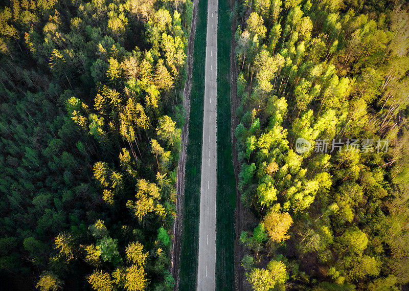 森林道路鸟瞰图。秋天的风景与道路和黄色，绿色的树木