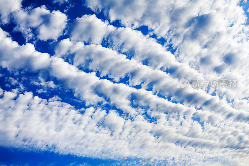 白色卷积云蓝天背景，蓬松的层积云纹理，高积云多云的天空，美丽的高卷积云景观，阳光明媚的天堂景观，多云天气背景