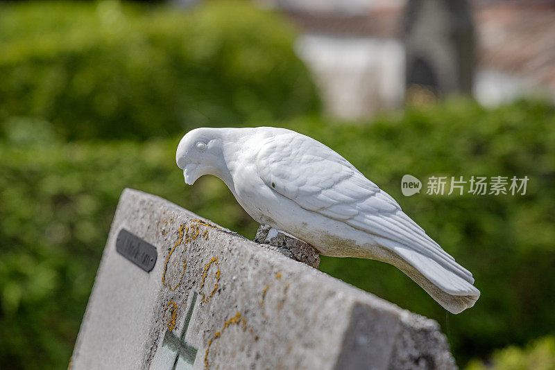 墓碑上的大理石鸽子