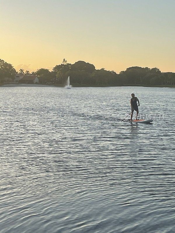 在美国佛罗里达州迈阿密的一个湖上用桨冲浪