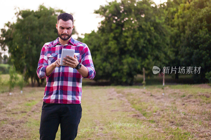 一个种植园里的男人。研究员。