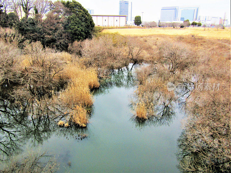 日本。1月。冬天的风景。