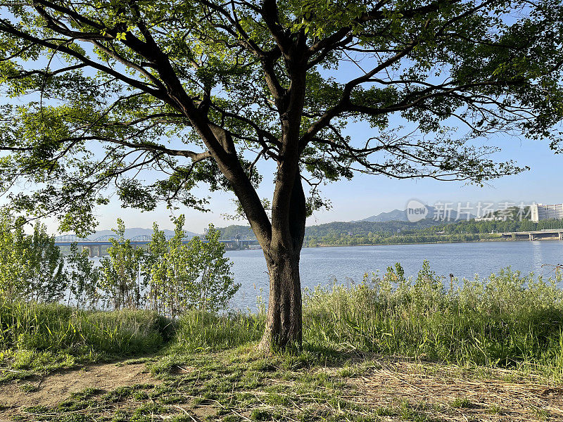 首尔汉江公园的美丽早晨