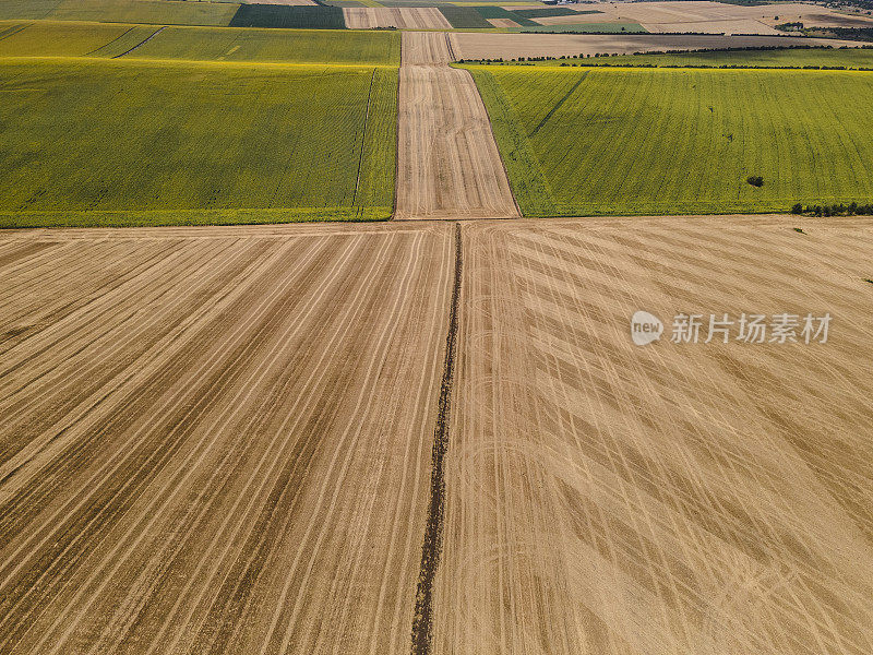 阳光明媚的一天，从空中俯瞰肥沃的耕地。