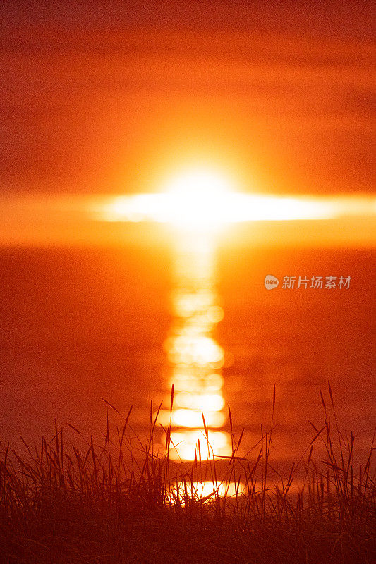 夏天午夜日落在海洋与草地前景北冰岛