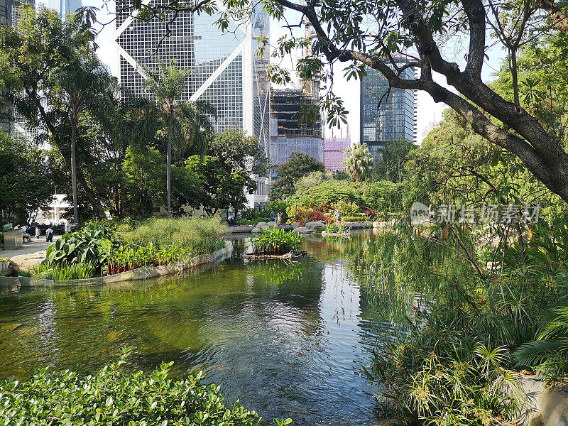 金钟香港公园的池塘