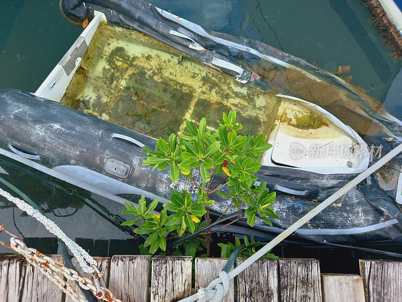 旧的沉船。法属西印度群岛的Patera海难。船抛锚了。接线盒残骸。码头上的旧橡皮艇。破碎的董事会。救援。