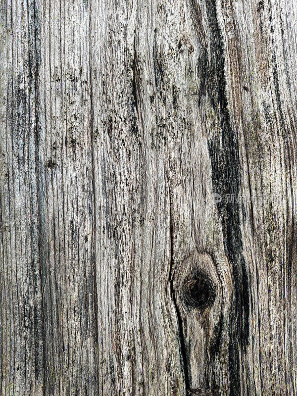 被腐蚀的木制花园或阳台甲板上有结，脏地板上有需要清洗的木板，在户外整齐地开槽的直木地板的特写图像