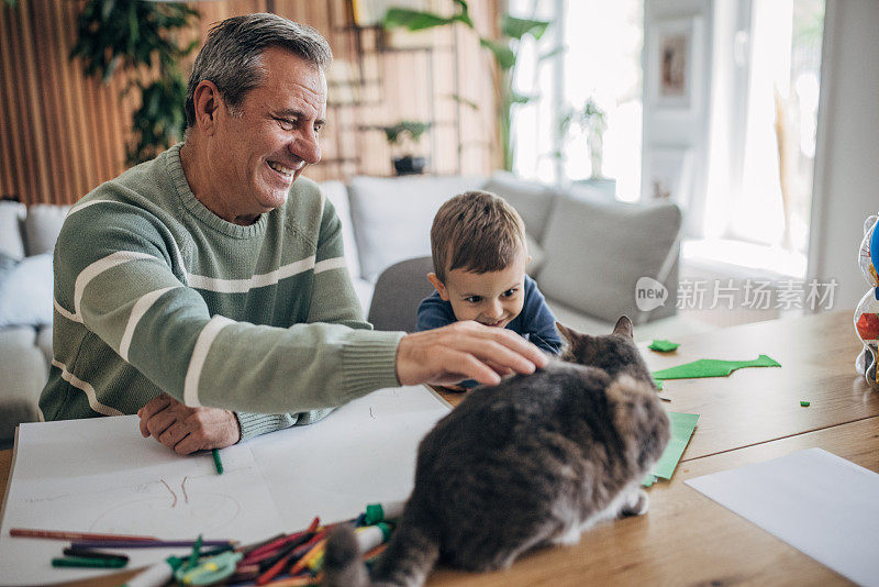 在家里，爷爷和孙子正在和一只宠物猫玩耍