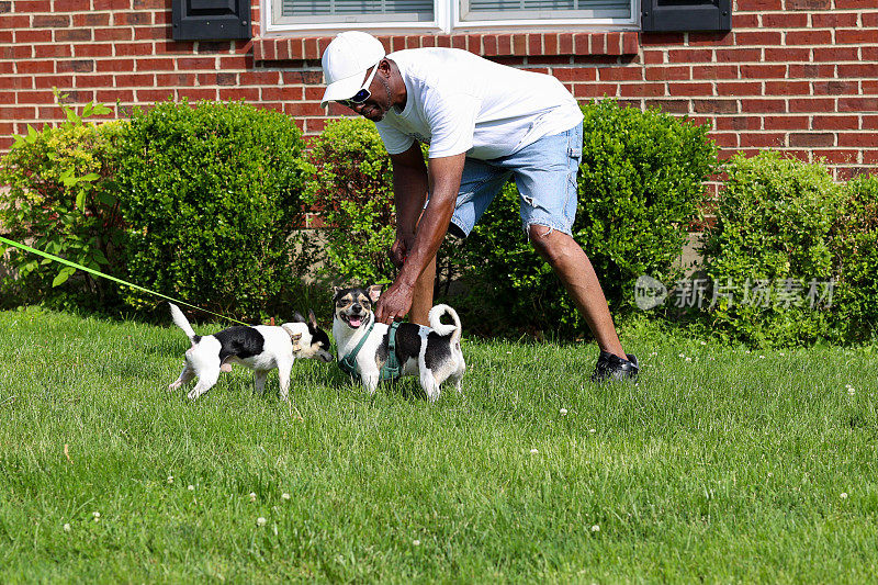 一个黑人带着两只狗在草地上玩耍